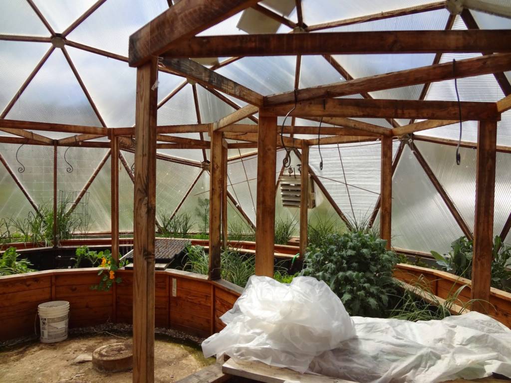 Trellis and planting beds in Growing Dome greenhouse