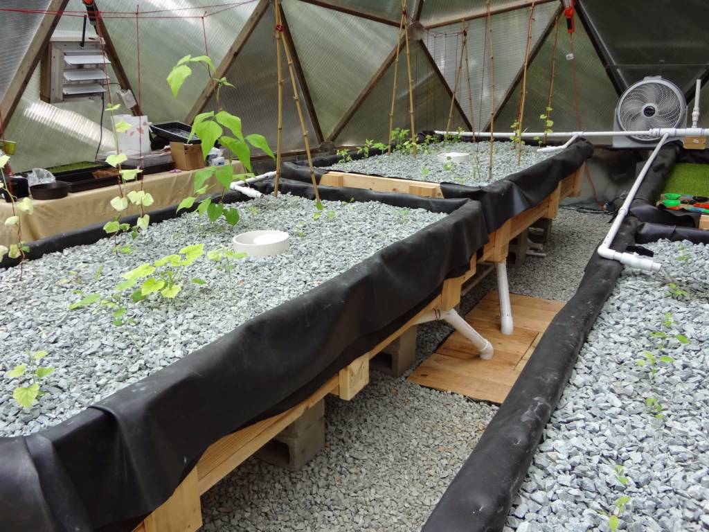Raised Aquaponic Beds in Growing Dome Greenhouse
