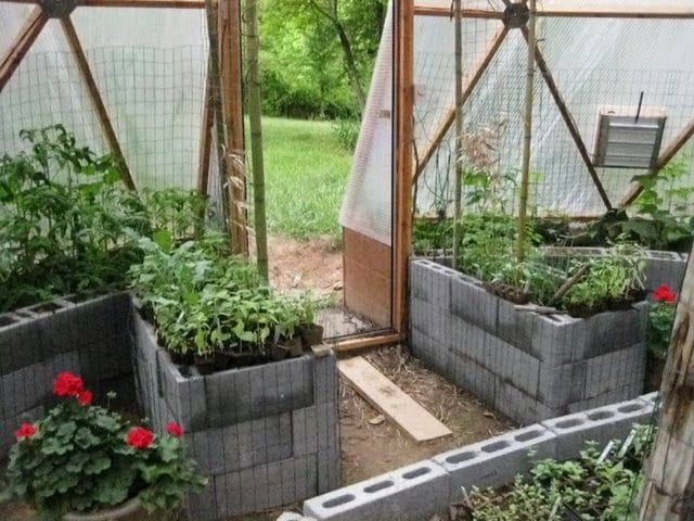 concrete planting beds in geodesic dome greenhouse