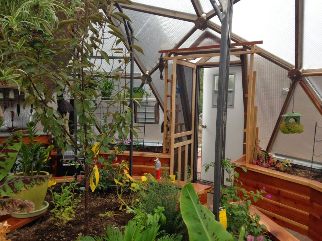 trellis and center planting bed in geodesic greenhouse