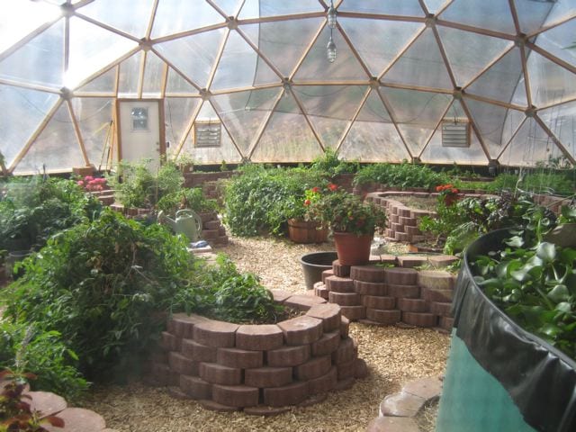 Pavestone planting beds in Growing Dome Greenhouse