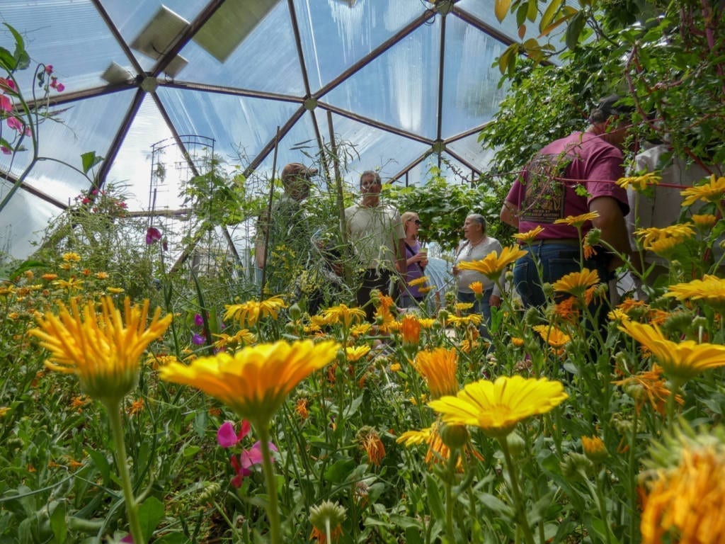 calendula tour photo - Growing Spaces Greenhouses people on a geodesic greenhouse tour