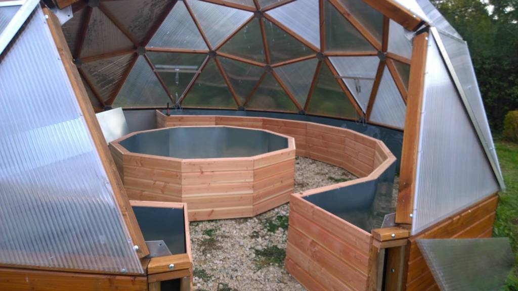 Redwood perimiter and center raised beds in geodesic dome greenhouse