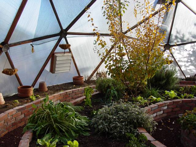 brick planting beds in geodesic dome greenhouse