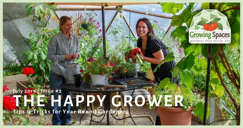 newsletter cover photo the happy grower
