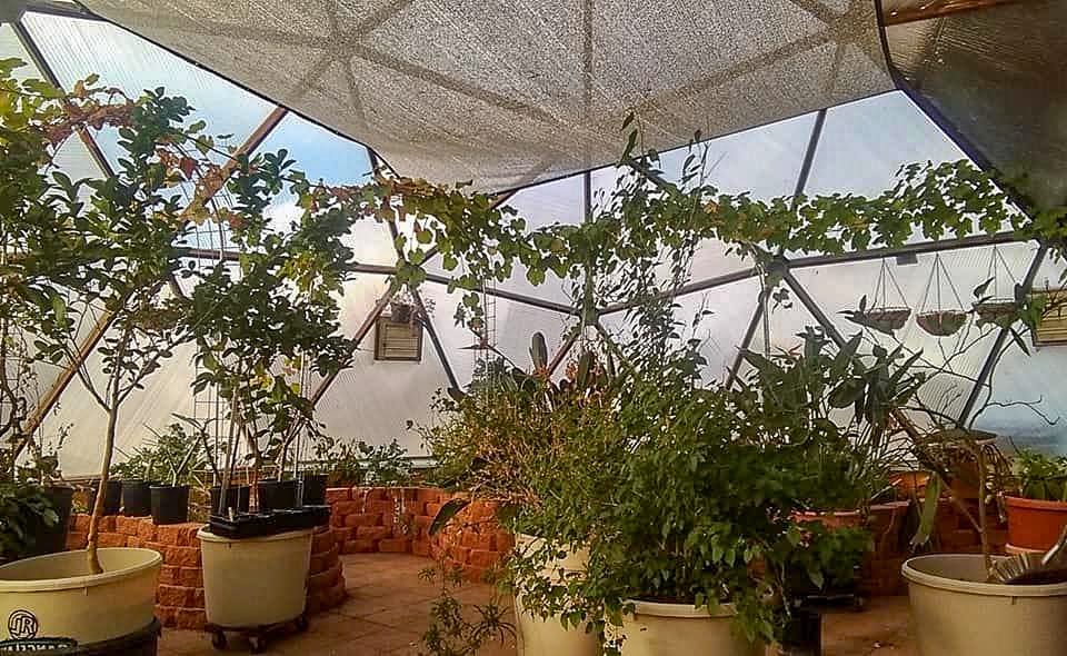 Matt's Off Grid New Mexico Greenhouse - Growing Spaces Greenhouses Tropical flowers in a geodesic greenhouse