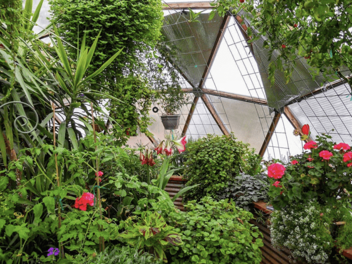 Inside a Solar Greenhouse Dome