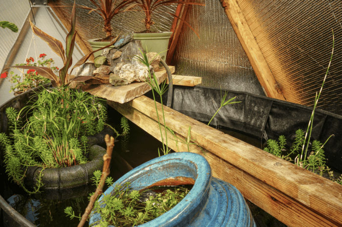 Claudia's Floating Pond Planters