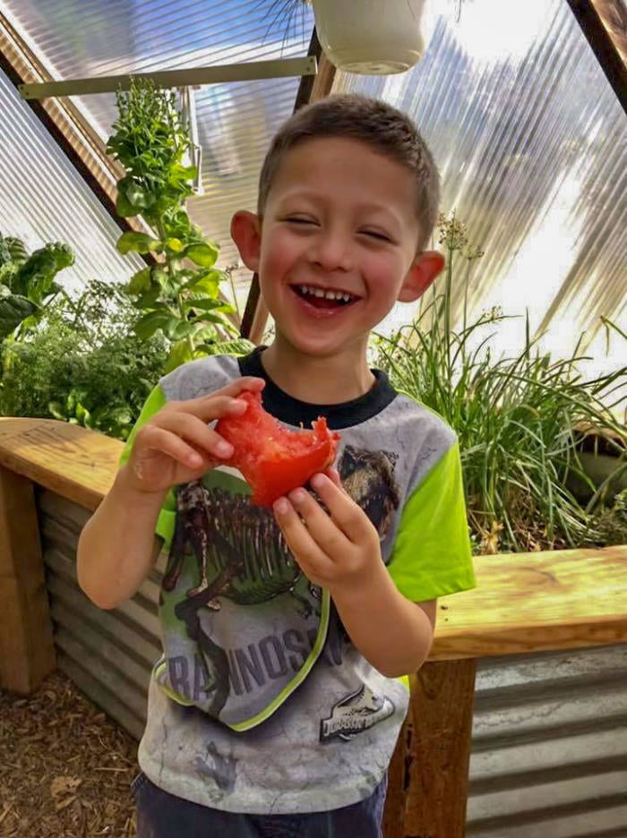 Kid eating a tomato off the vine in a Growing Dome greenhouse