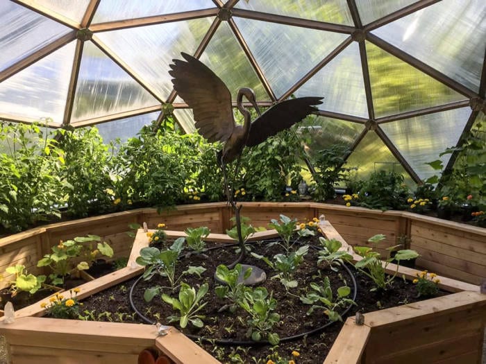 Star Shaped Bed inside Growing Dome Greenhouse