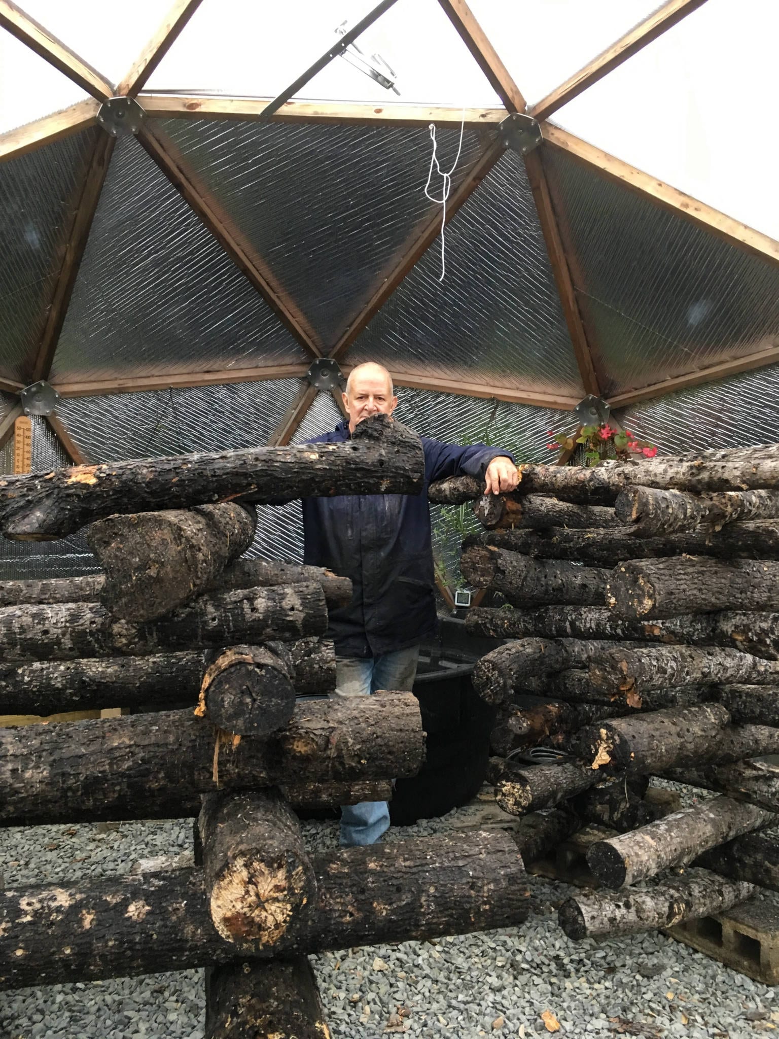 Shiitake Mushroom Crib Stack - Growing Spaces Greenhouses Crib Stack for Sjiitakes Mushroomswith Rex