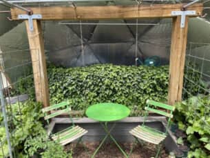 Greenhouse-Pond-covered-in-Ivy-1 - Growing Spaces Greenhouses