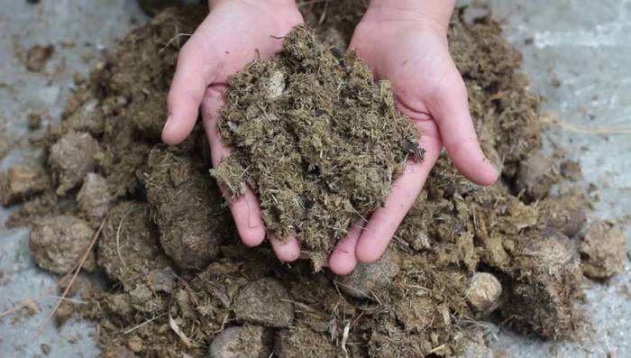 manure - hydrophobic soil