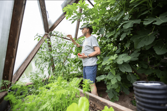Matt pruning in sustainable greenhouse