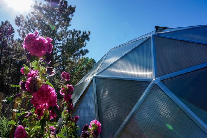 Solar Greenhouse closeup with flowers