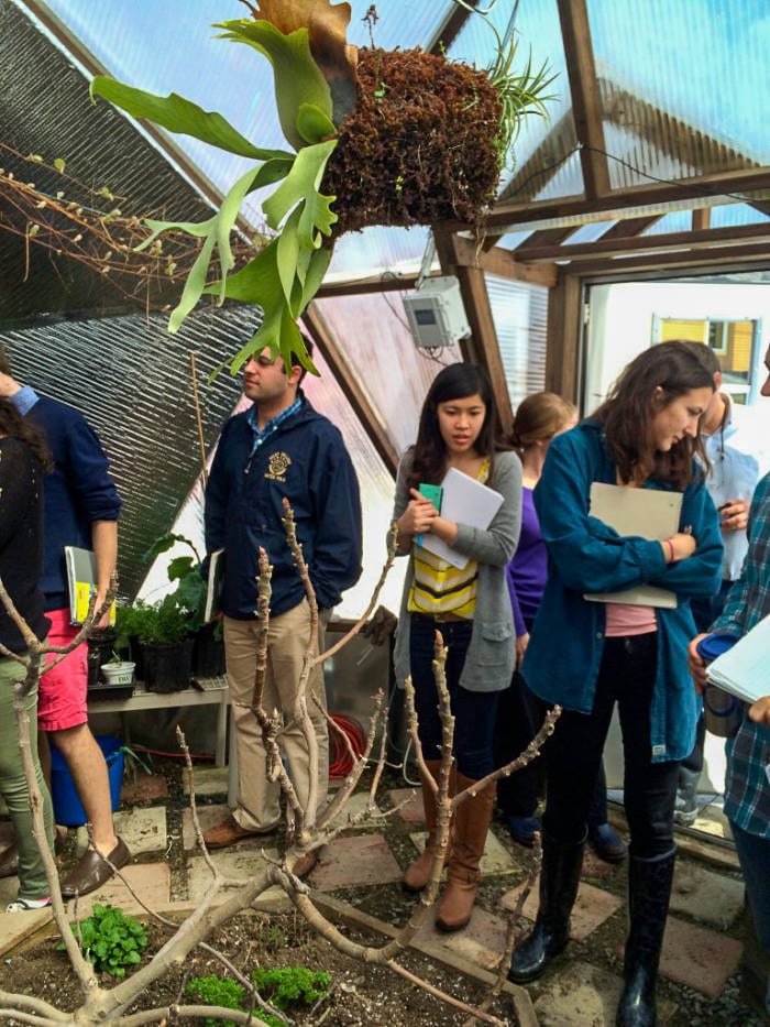 college class in the sustainable greenhouse