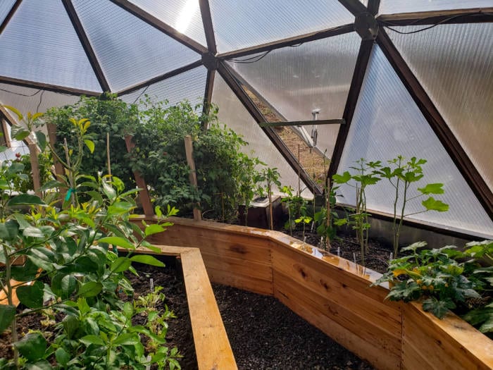 inside the backyard greenhouse