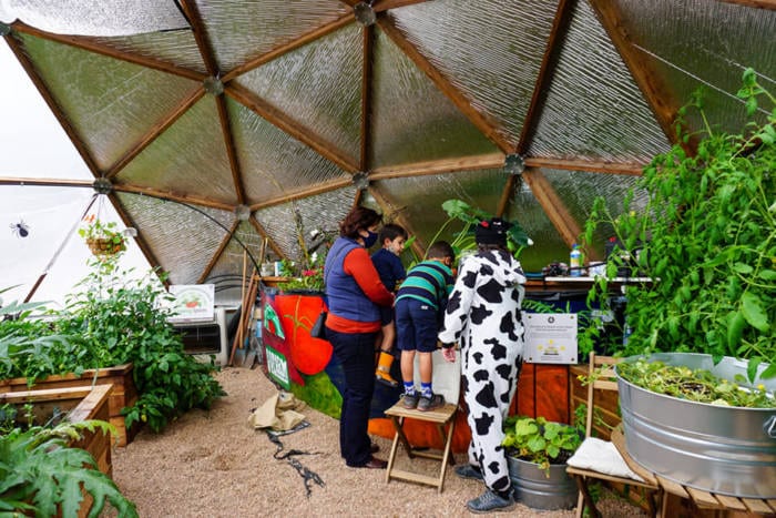 Kids looking at fish in greenhouse dome in Golden Colorado