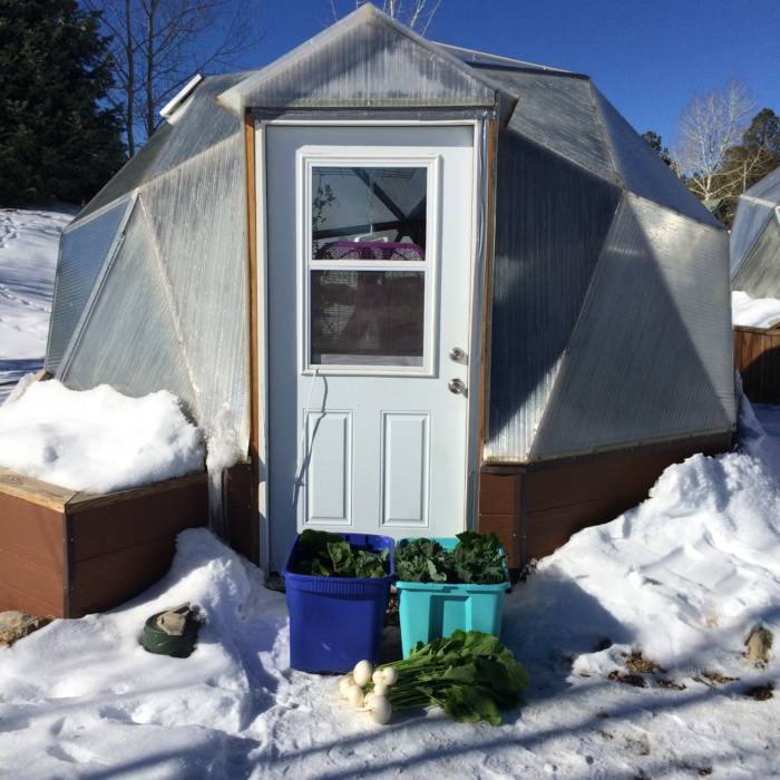 Food Hub Donation from Growing Dome Greenhouse