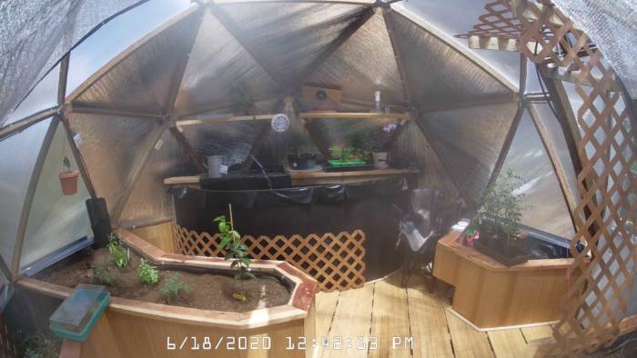 webcam monitoring automated greenhouse