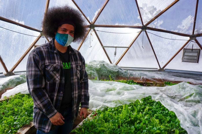 Malik Salsberry growing in the GoFarm Urban Greenhouse
