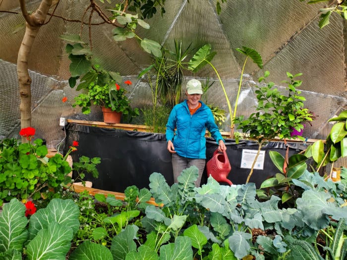 Gardener maintaining healthy garden soil in her Growing Dome Greenhouse