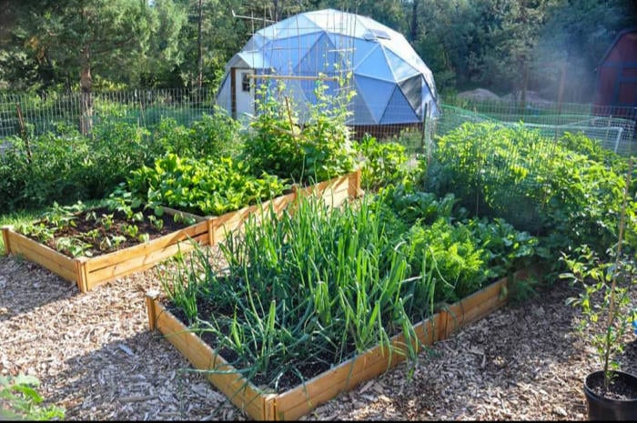 Beautiful garden with 22' growing dome geodesic greenhouse