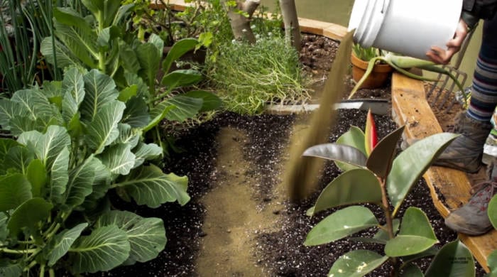 applying soil amendments to a greenhouse garden