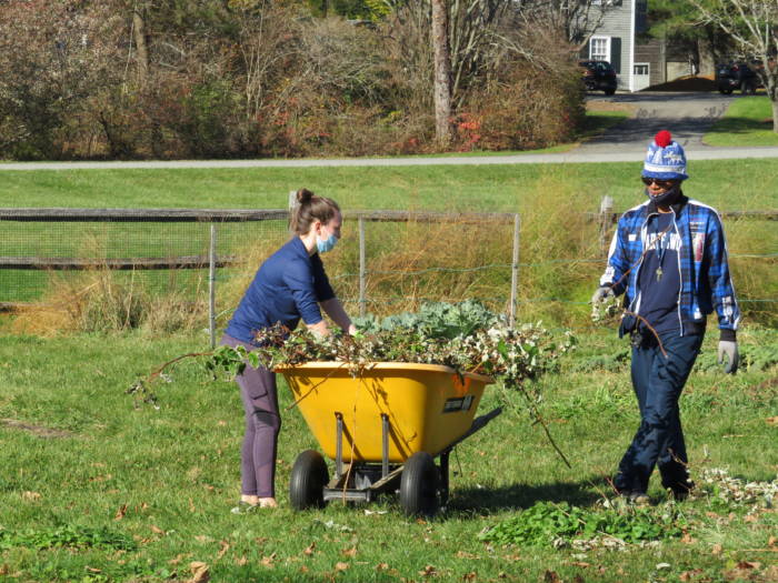 School Garden Program In Connecticut - Growing Spaces Greenhouses