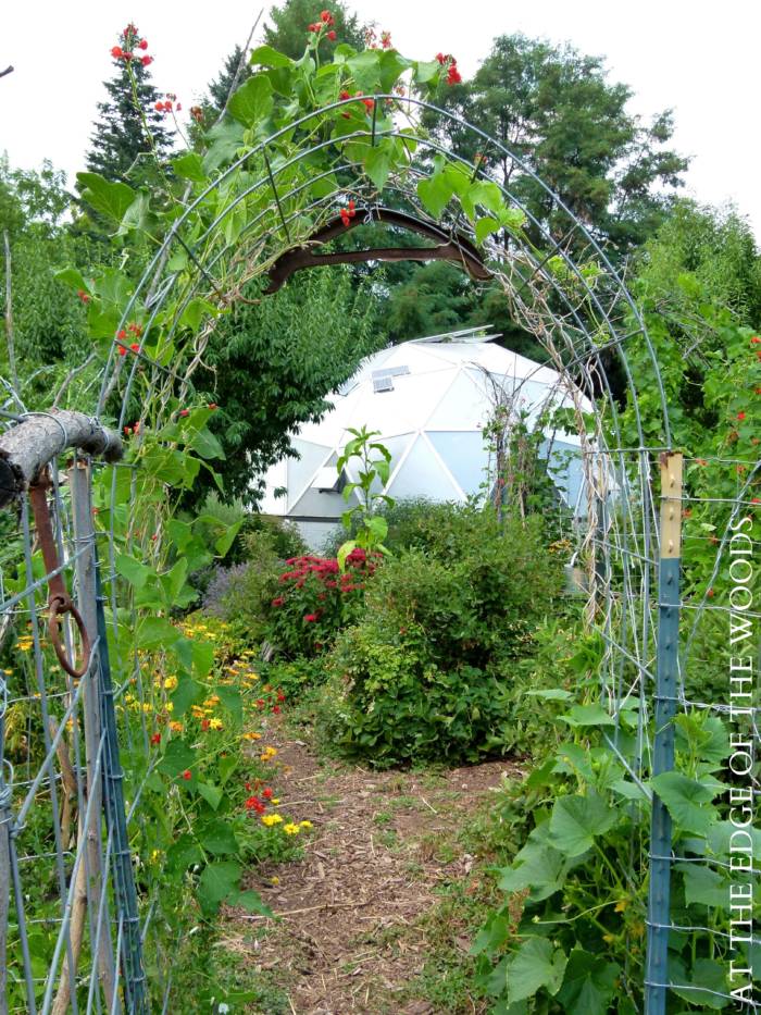 Growing Dome in an outdoor garden
