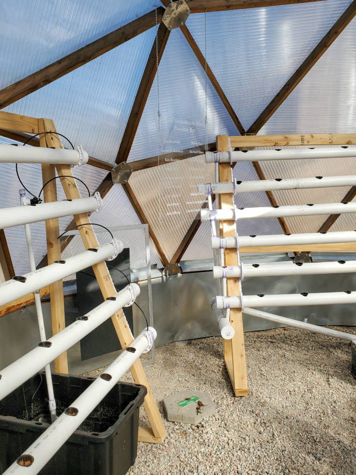 Aquaponic System in Mines Tiny Greenhouse