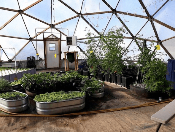 Inside the Geodesic Dome Greenhouse at Eliada