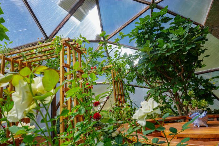 DSC03320 - Growing Spaces Greenhouses Greenhouse trellis