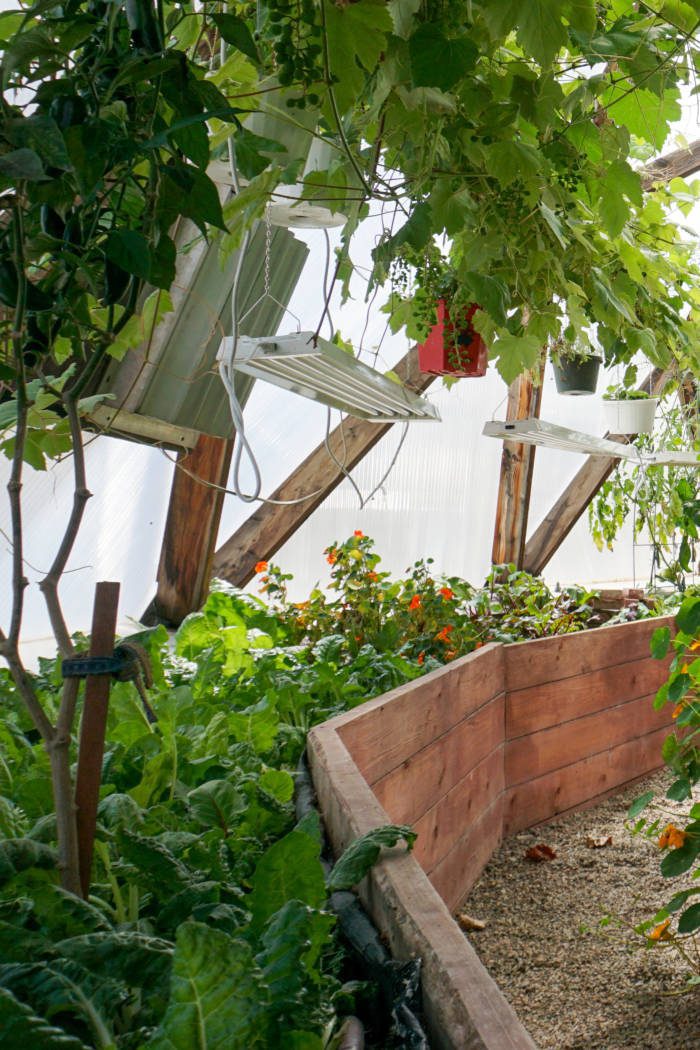DSC09990-1 - Growing Spaces Greenhouses Grow Lights in a Growing Dome Greenhouse