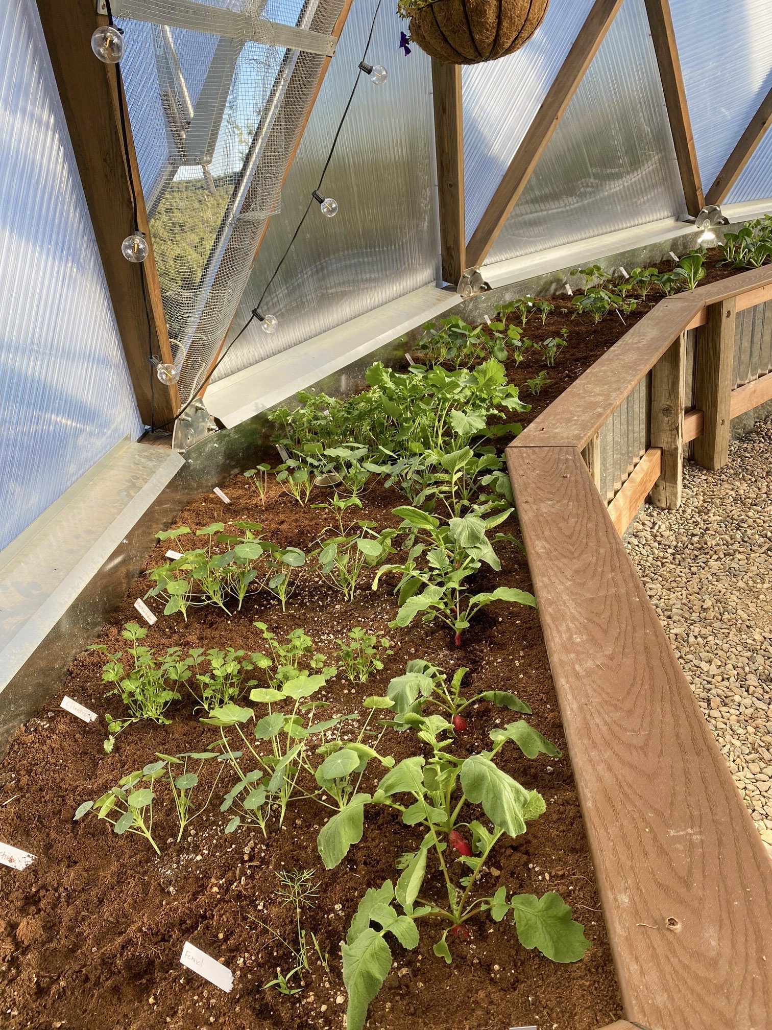 16-Deborah_Rich_Hugrlkultur_Gaden_0548 - Growing Spaces Greenhouses Filled Hugelkultur raised bed with soil and plants