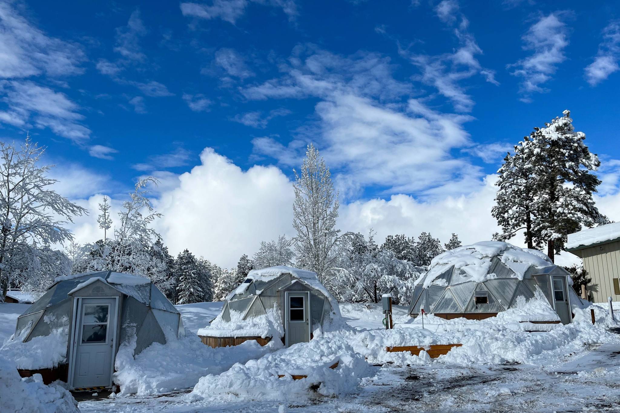 3 Growing Dome greenhouses covered in snow keeping warm