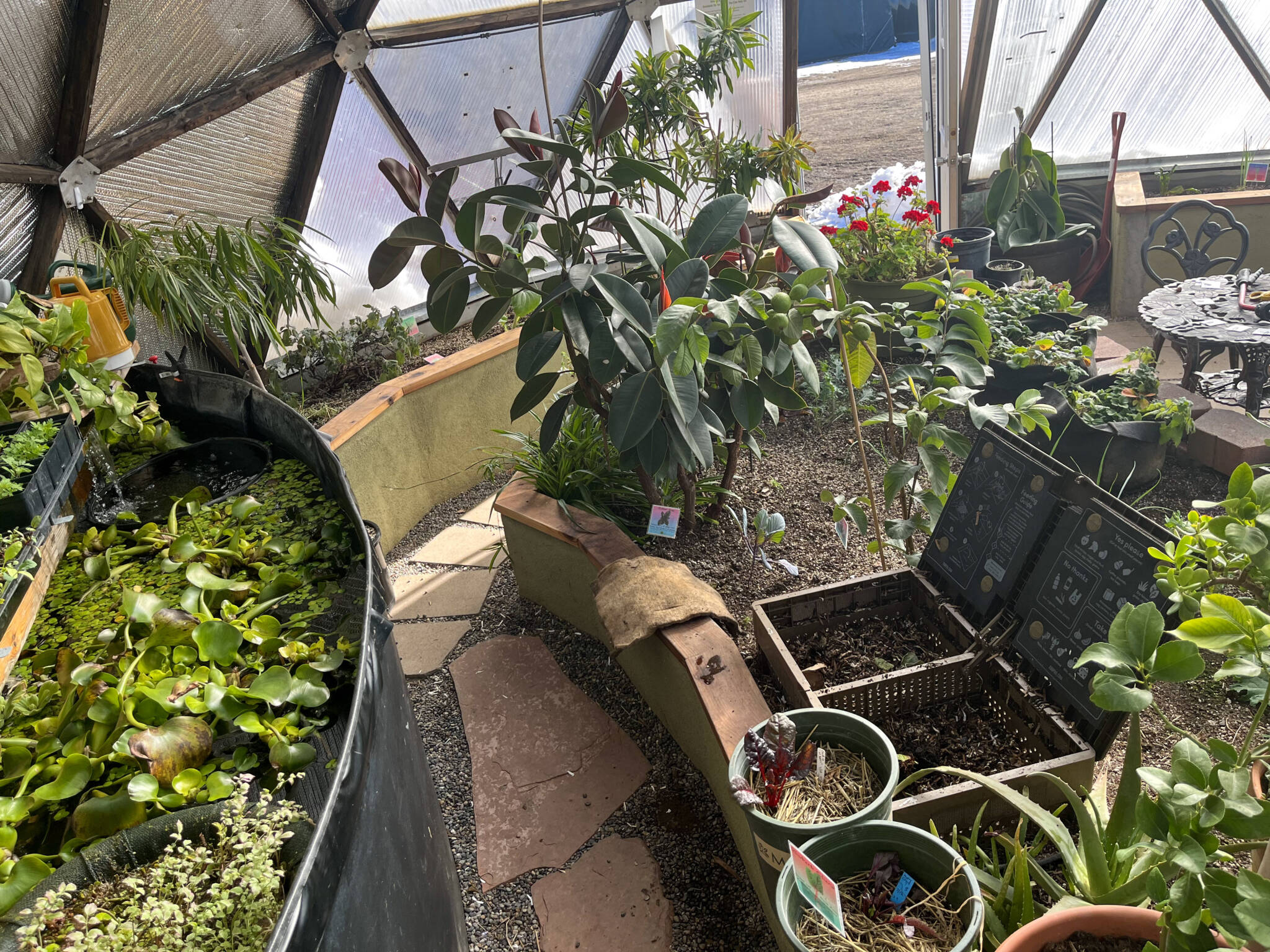 Vermiculture in a greenhouse