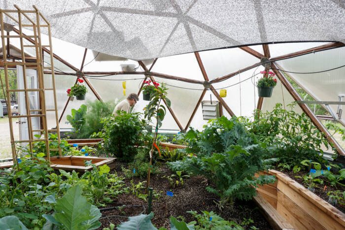 DSC04074 - Growing Spaces Greenhouses Growing Dome Greenhouse garden