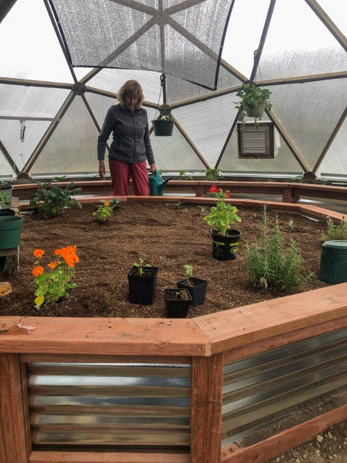 Nancy Drake planting garden beds in her backyard greenhouse