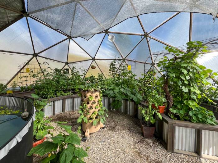 newly planted vermicomposting Garden Tower in 33' Growing Dome