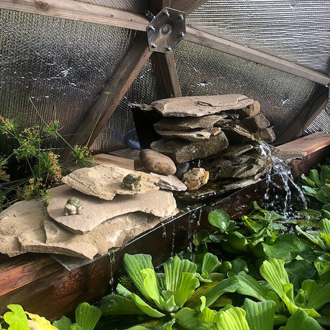 Water feature inside the greenhouse