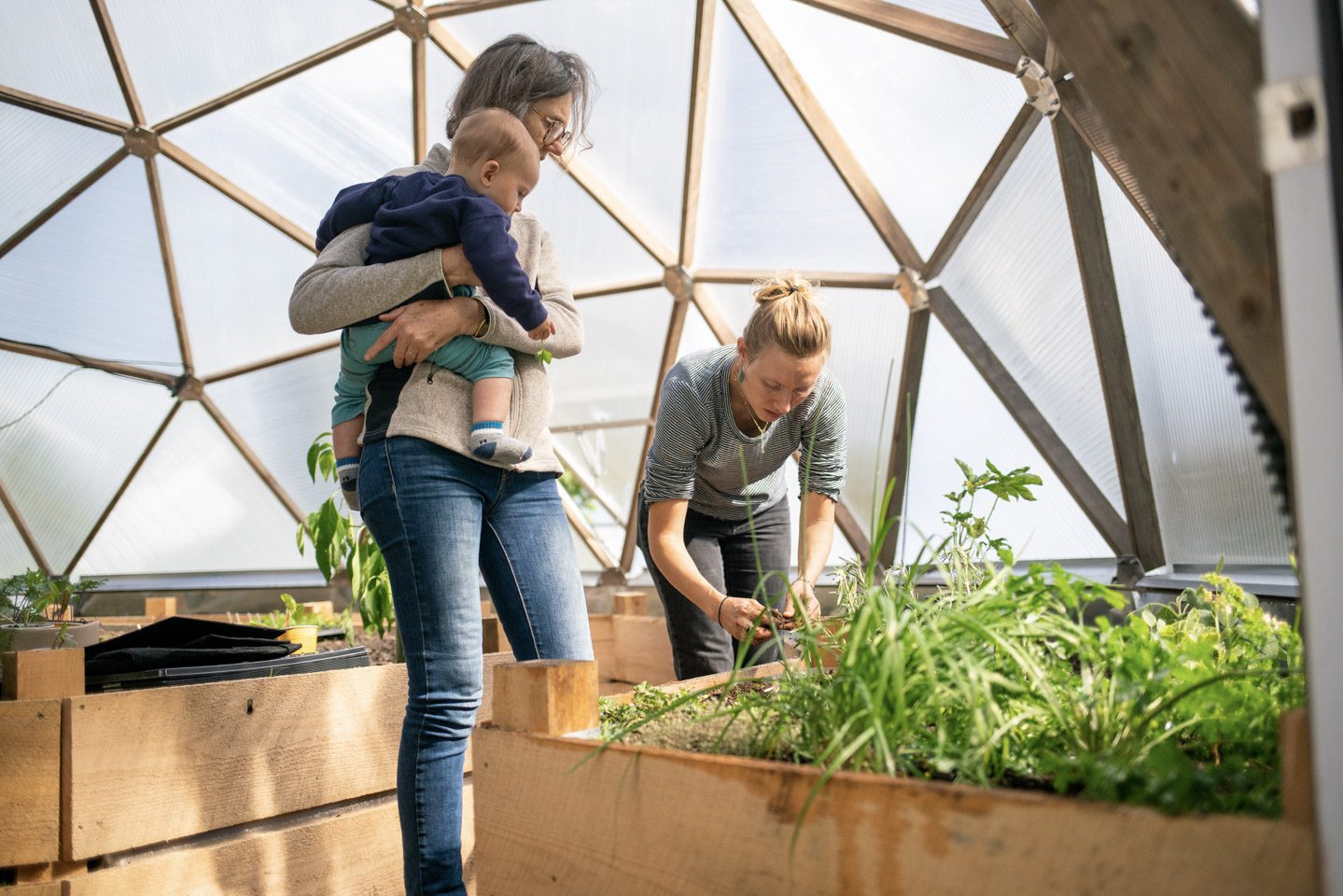 Stay in a dome house on our farm and help with permaculture