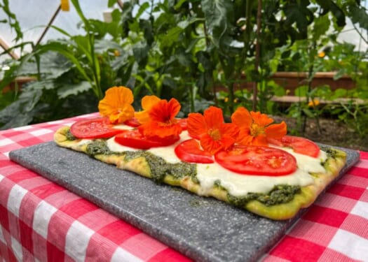 IMG_3206 - Growing Spaces Greenhouses nasturtium pesto flatbread