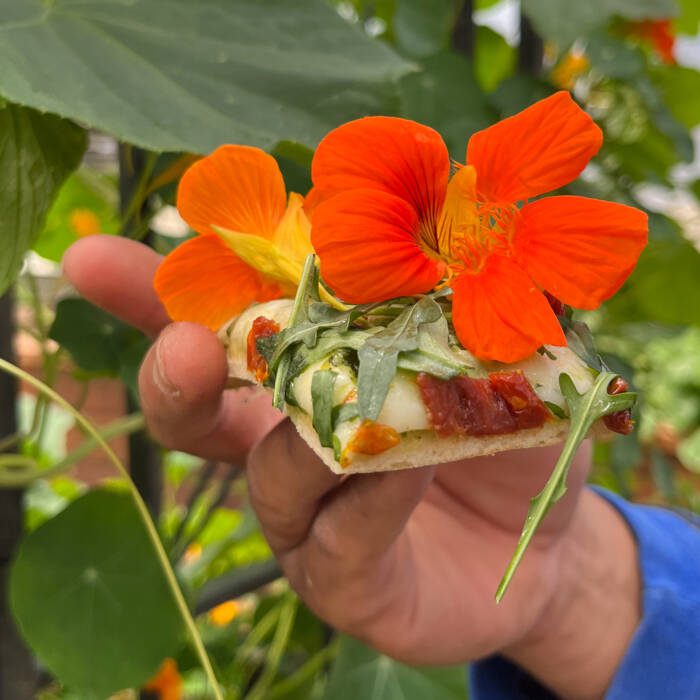 nasturtium pesto flatbread