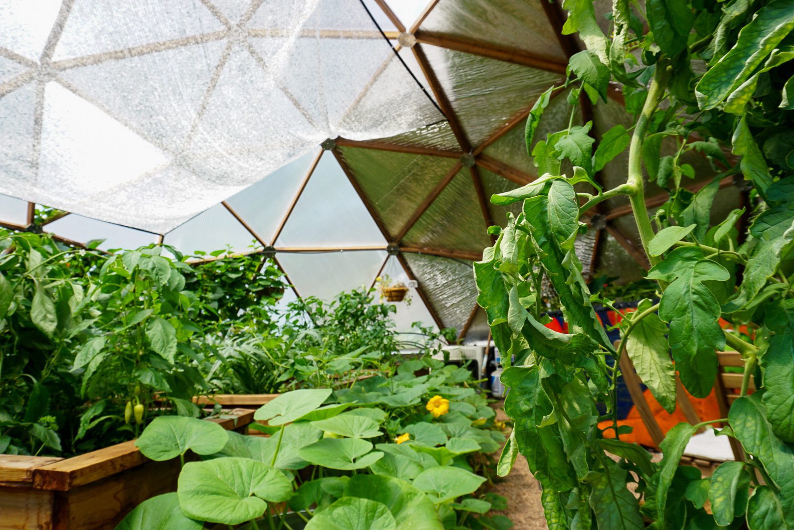 Air Pruning And Eco-Friendly Clear Plastic Garden Domes 