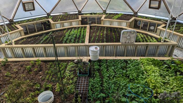 Interior garden beds of a greenhouse with seedlings