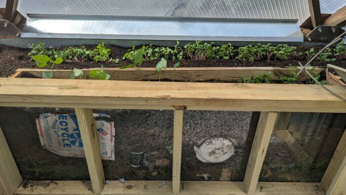 Clear plexiglass raised bed to view composting