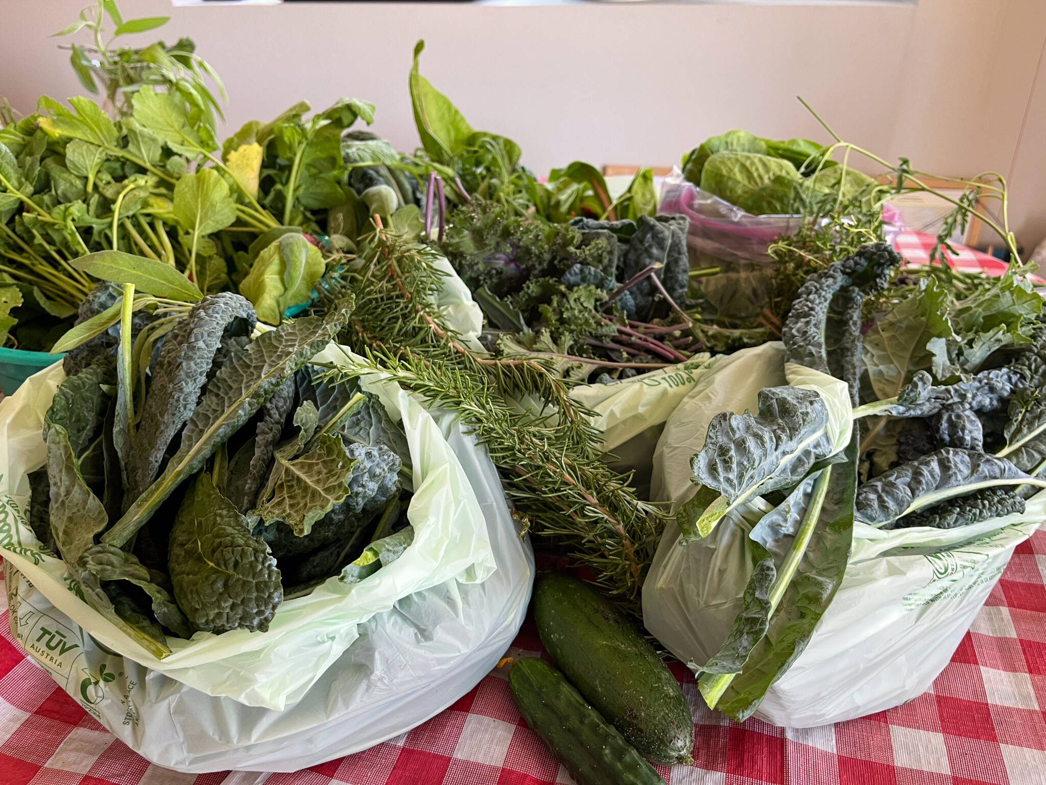 Produce in individual bags for food bank donation