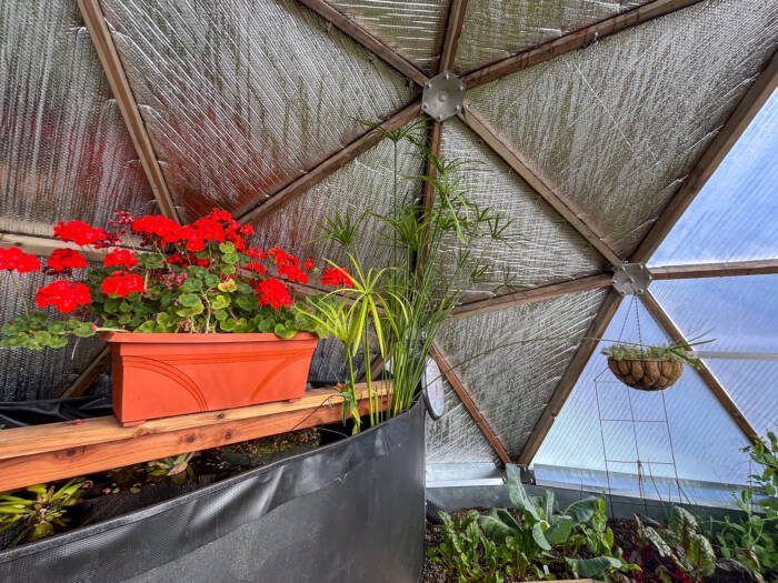 Flower Pots on top of the above-ground pond in a Growing Dome Greenhouse