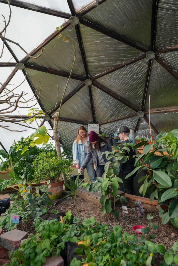 Desiree Showing Cristi and Adelyn Dozier plants in the greenhouse